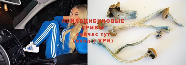 скорость mdpv Алексеевка
