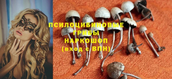 эйфоретик Алзамай