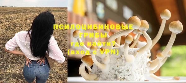 эйфоретик Алзамай