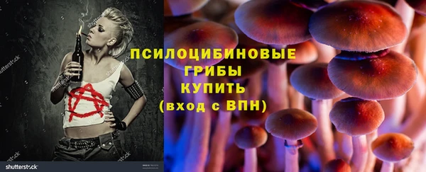 эйфоретик Алзамай