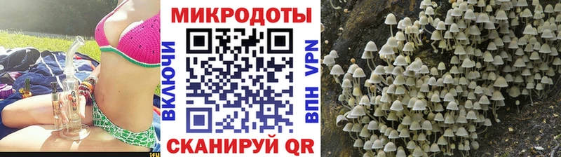 Галлюциногенные грибы GOLDEN TEACHER где можно купить наркотик Инсар